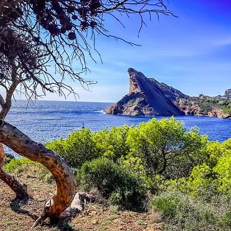 Magnifique Sur La Baie De Villa La Ciotat