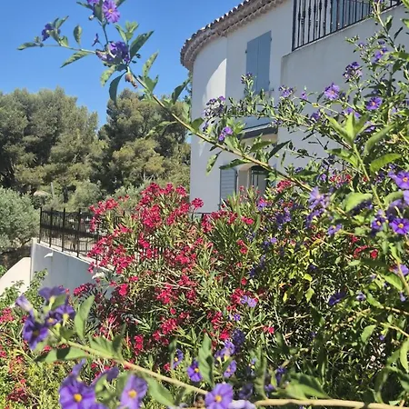 Magnifique Sur La Baie De La Ciotat